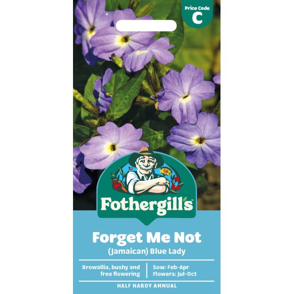 Forget Me Not (Jamaican) Blue Lady Seeds