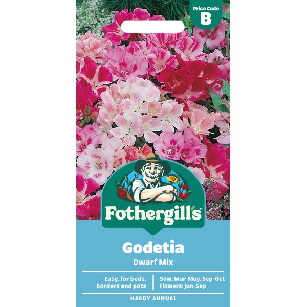 Godetia Dwarf Mix Seeds
