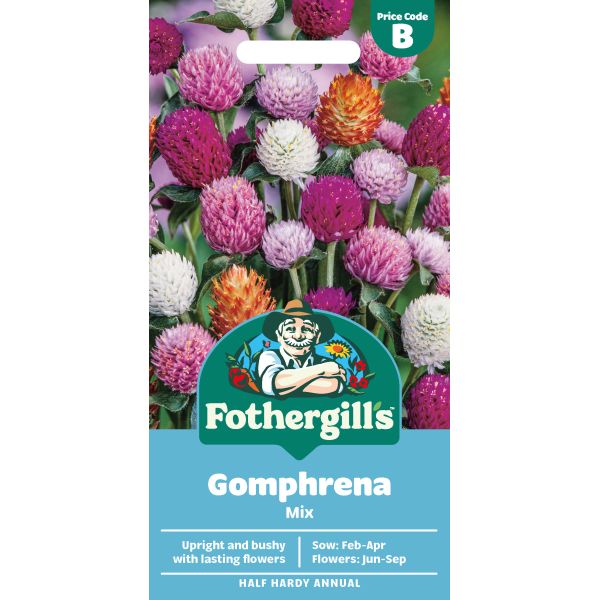 Gomphrena Mixed Flower Seeds
