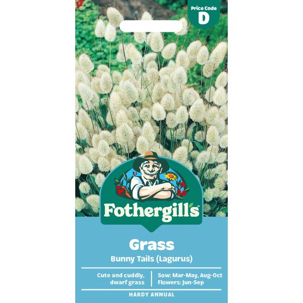Bunny Tail Grass Seeds