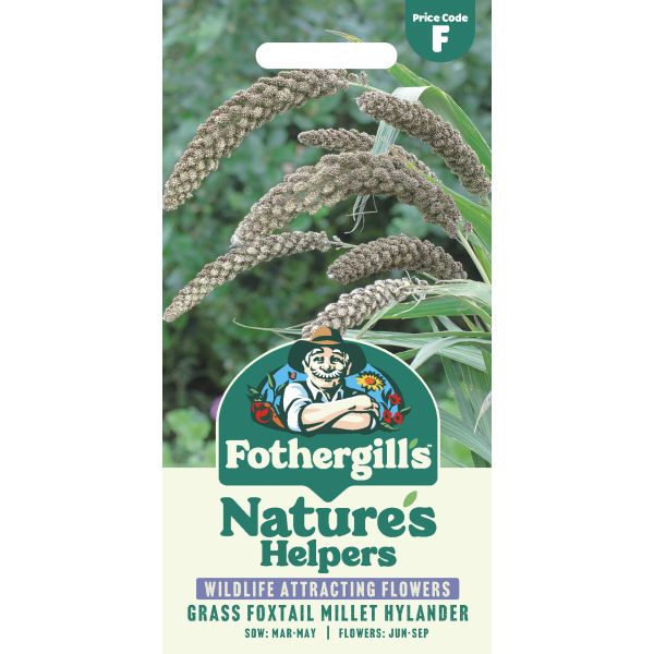 Grass Foxtail Millet Hylander Seeds
