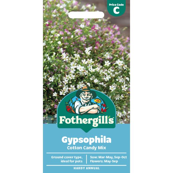 Gypsophila Cotton Candy Mix Seeds