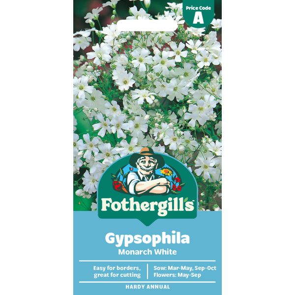 Gypsophila Monarch White
