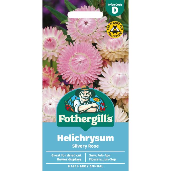 Helichrysum Silvery Rose Seeds
