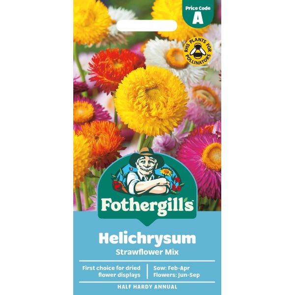 Helichrysum Strawflower Seeds