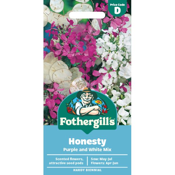 Honesty Purple & Mixed