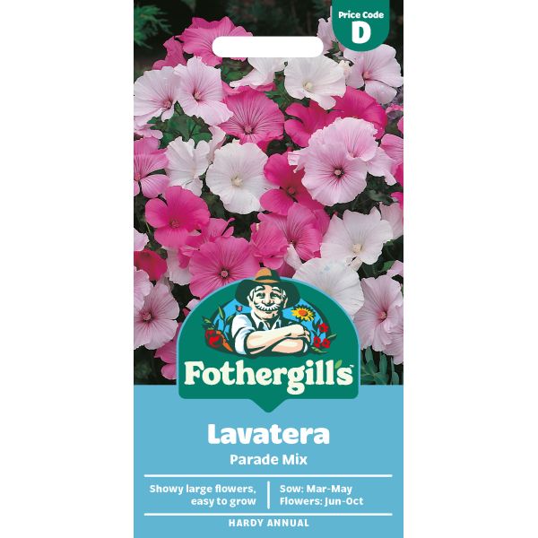Lavatera Parade Mixed