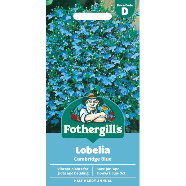 Lobelia Cambridge Seeds