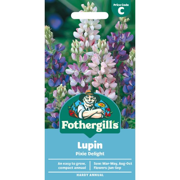 Lupin Pixie Delight Seeds
