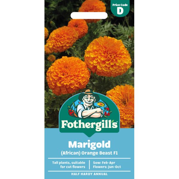 Marigold (African) Orange Beast F1 Flower Seeds