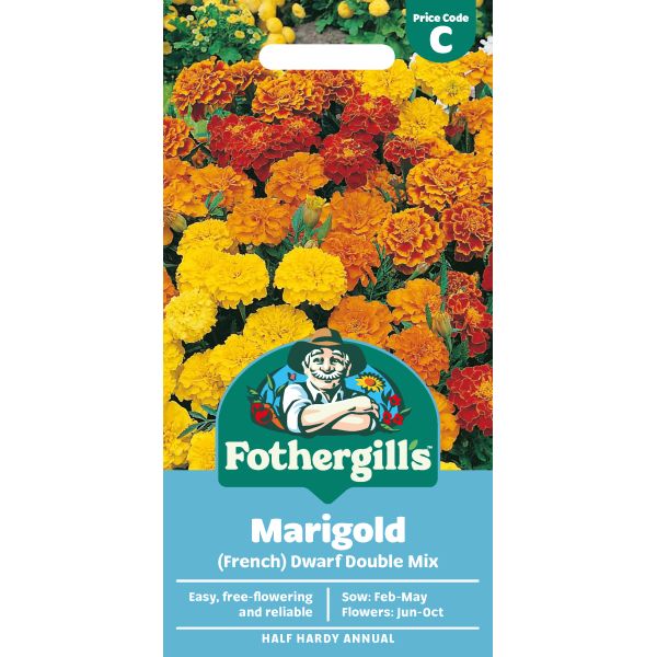 Marigold Dwarf Double