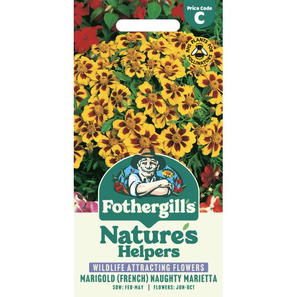 Marigold Naughty Marietta Seeds