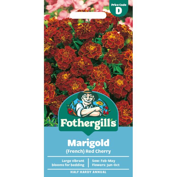 Fothergills Marigold (French) Red Cherry seed packet with marigold flowers on a white background