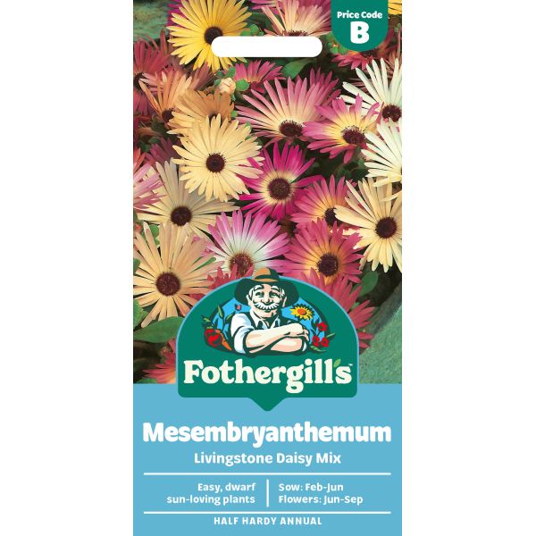 Mesembryanthemum Livingstone Daisy Mixed Seeds