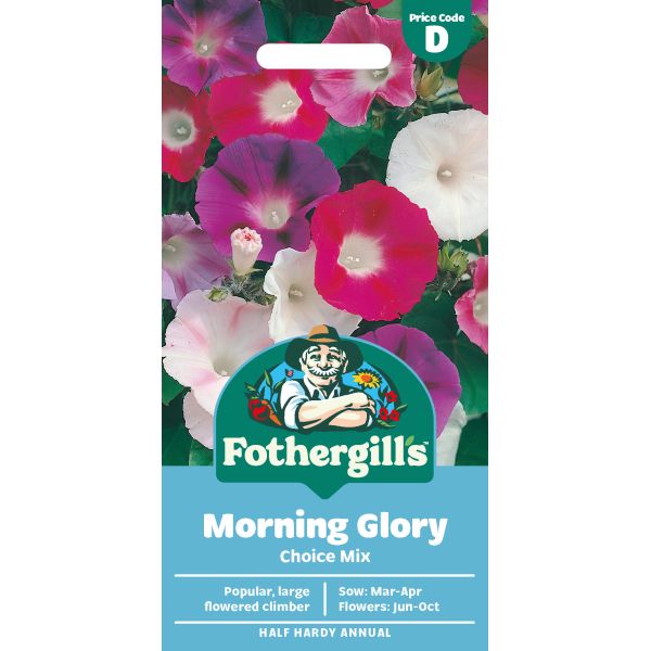Morning Glory Choice