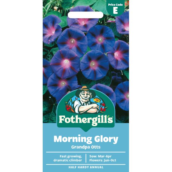 Morning Glory Grandpa Otts Seeds