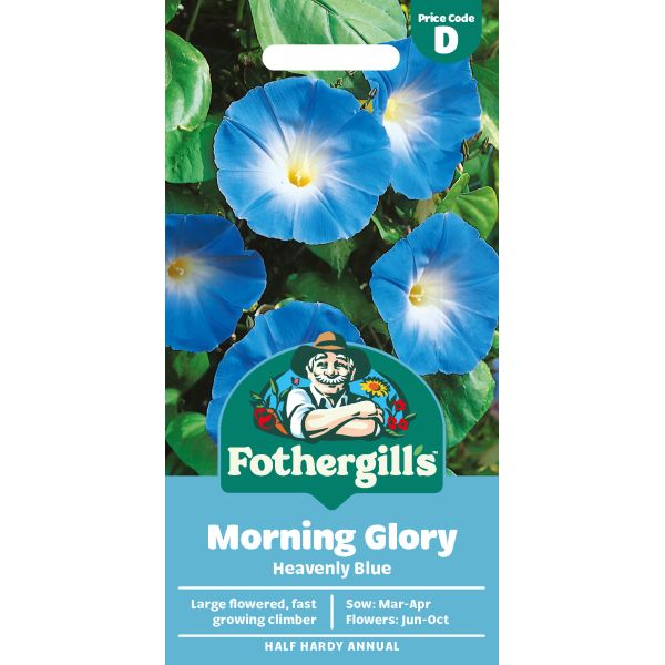 Morning Glory Heavenly Seeds