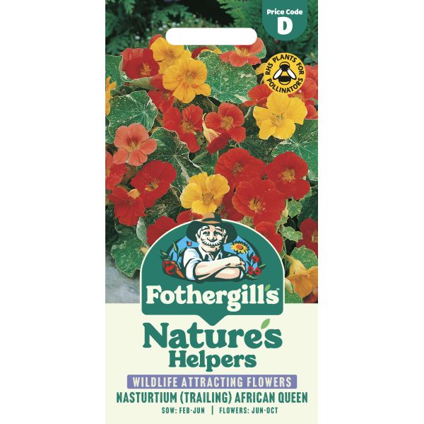 Nasturtium African Queen Seeds