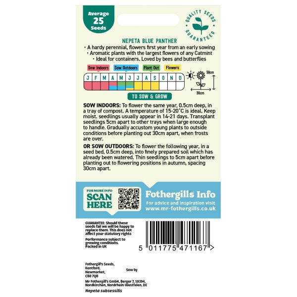 Nepeta Blue Panther Seeds