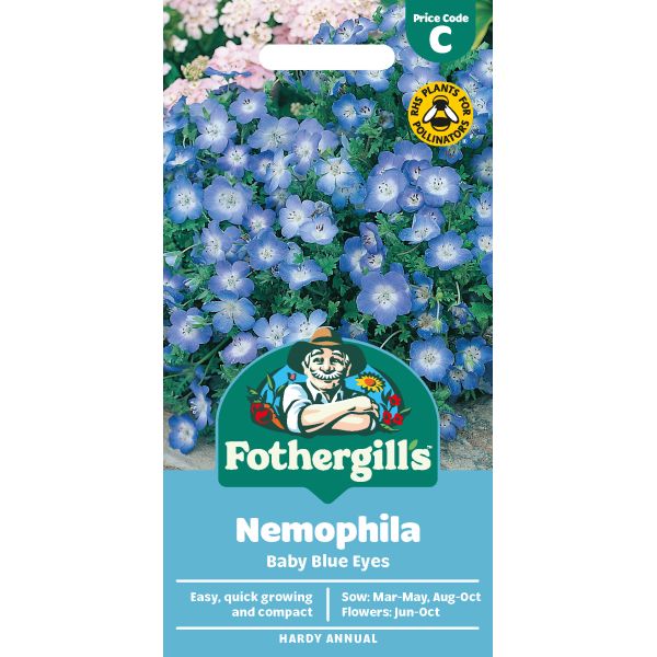 Nemophila Blue Eyes