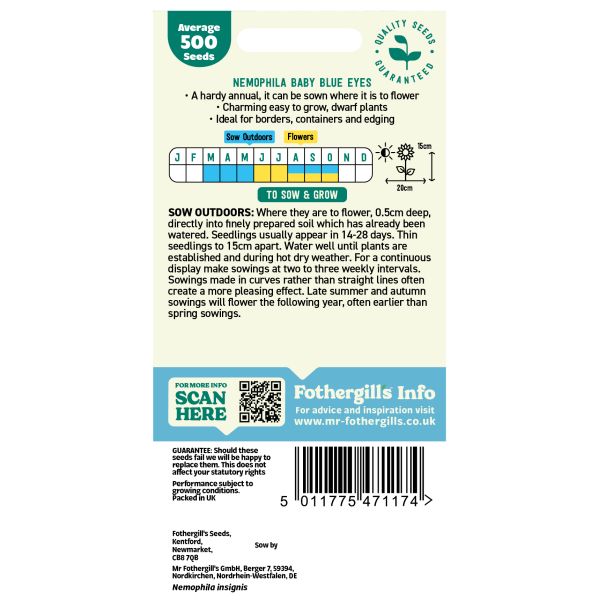 Nemophila Baby Blue Eyes
