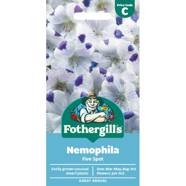 Nemophila Five Spot