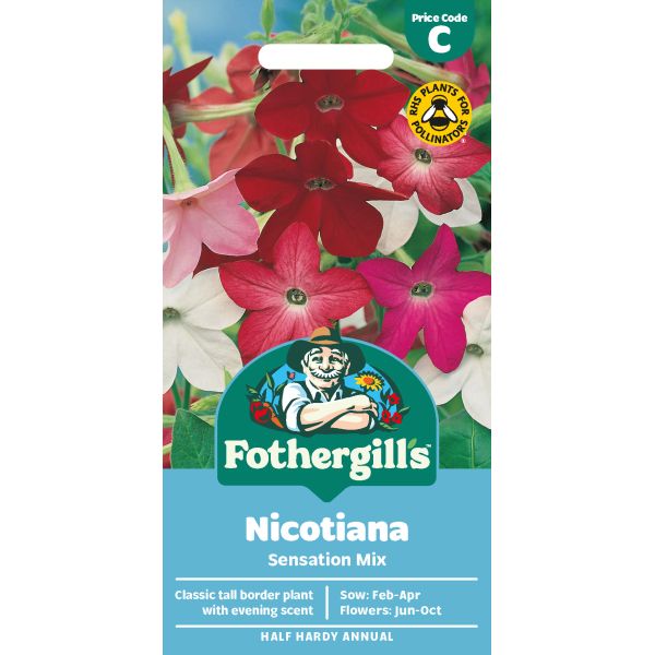 Nicotiana Sensation Seeds