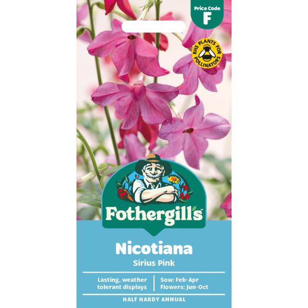 Nicotiana Sirius Pink F1 Seeds