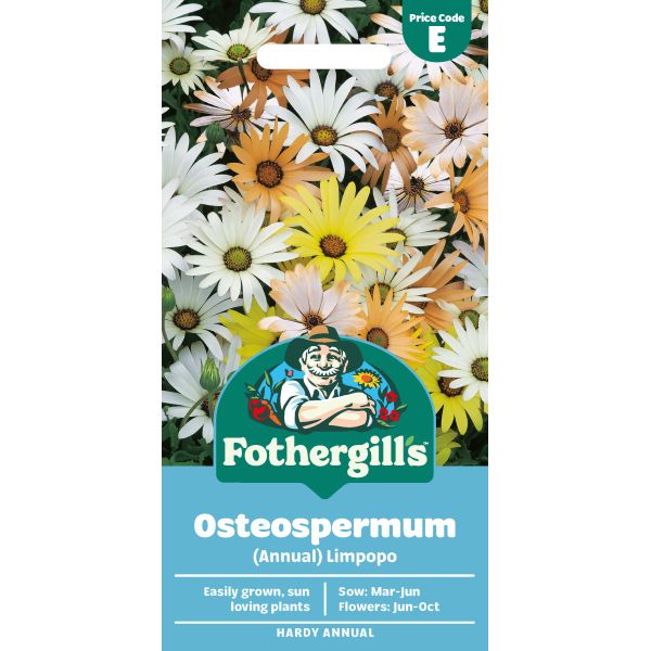 Osteospermum Limpopo Seeds