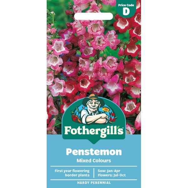 Penstemon Mixed Colours Seeds