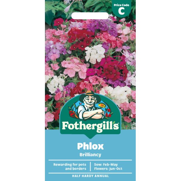 Phlox Brilliancy Seeds