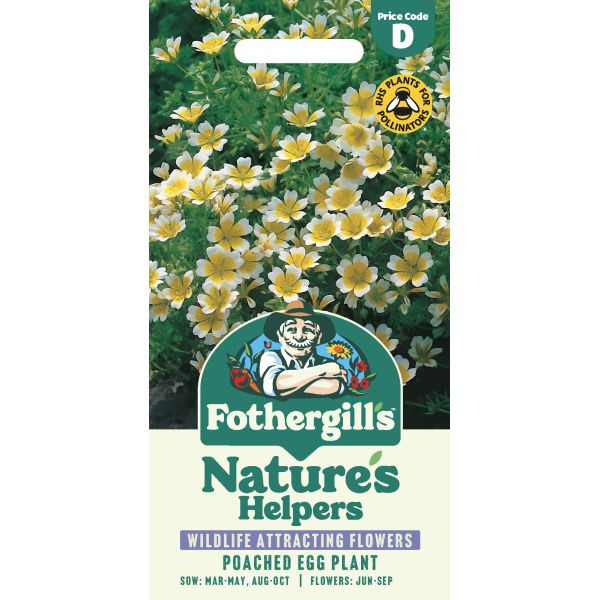 Limnanthes douglasii Seeds