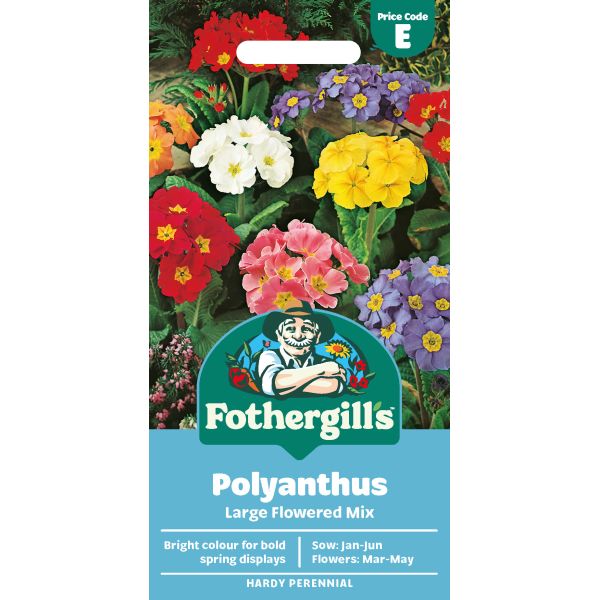 Polyanthus Large Flowered Mix Seeds