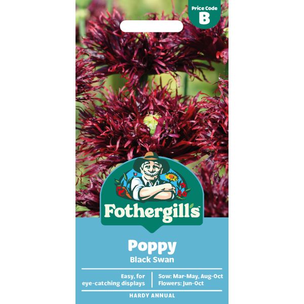 Poppy Black Swan Flower Seeds