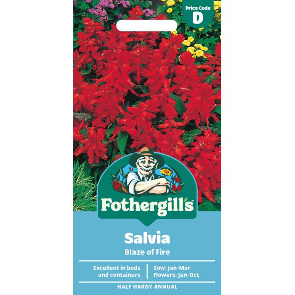 Salvia Blaze Fire