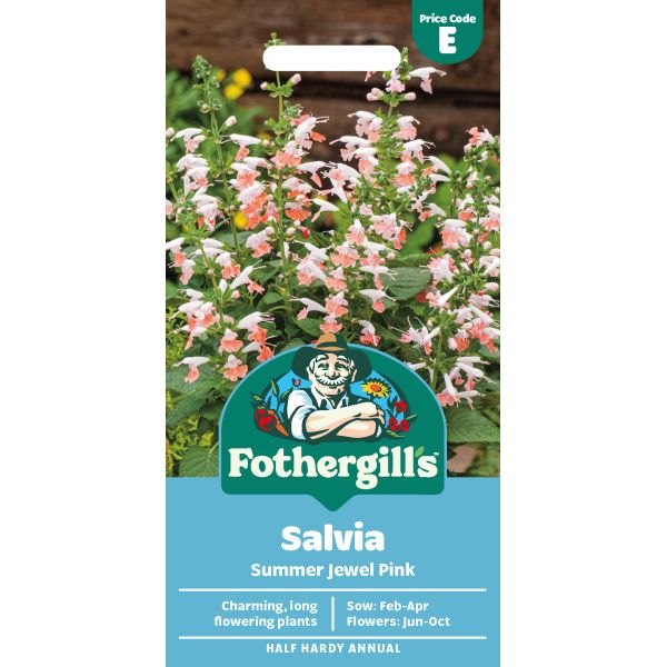 Salvia Summer Jewel Pink Flower Seeds