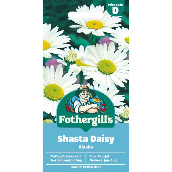 Chrysanthemum Shasta Daisy Alaska Seeds