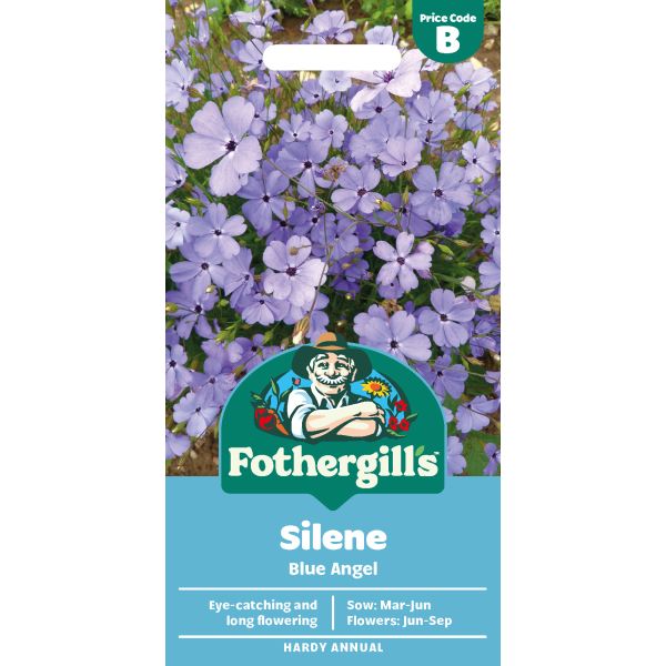 Silene Blue Angel