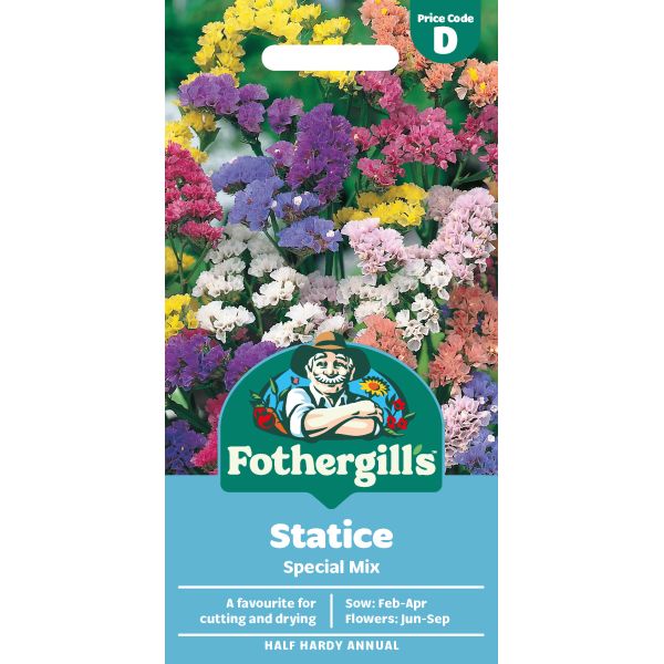 Statice Special Seeds