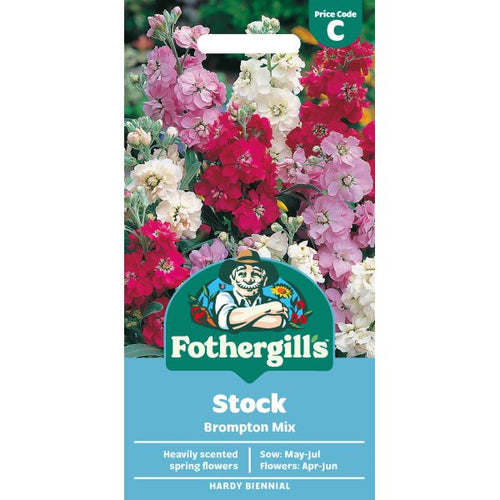 Stock Brompton Mixed Seeds from Mr Fothergill's Seeds and Plants