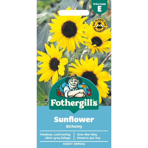Sunflower Alchemy Seeds