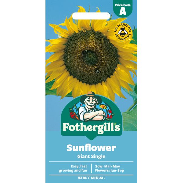 Sunflower Giant Single Seeds
