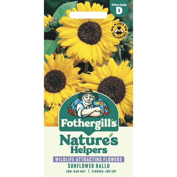 Sunflower Hallo Seeds | Flowers | Fothergill's