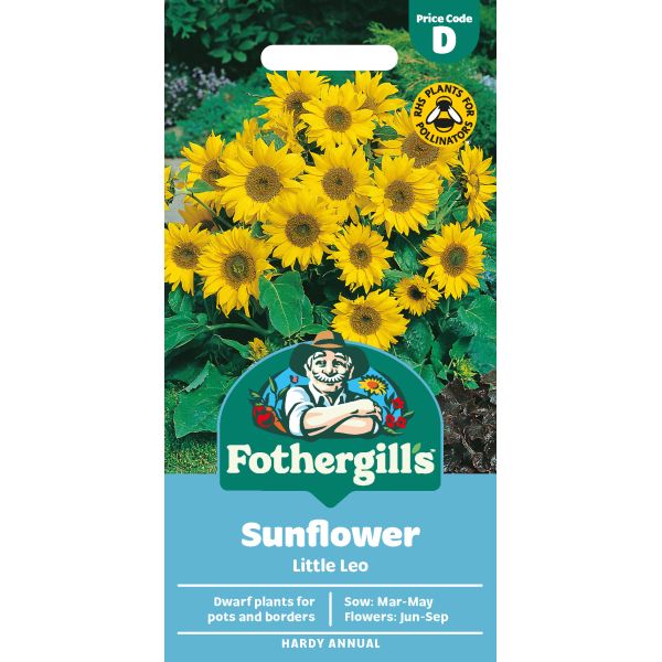 Sunflower Little Leo