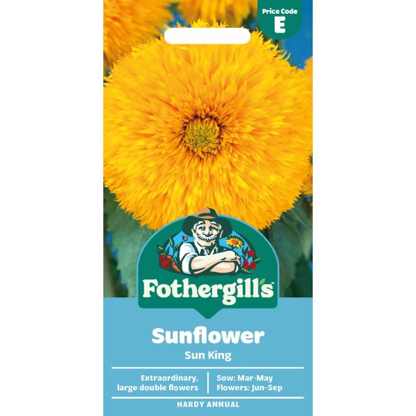 Sunflower Sun King