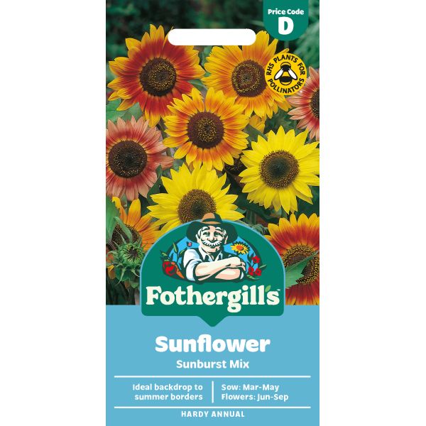 Sunflower Sunburst Seeds