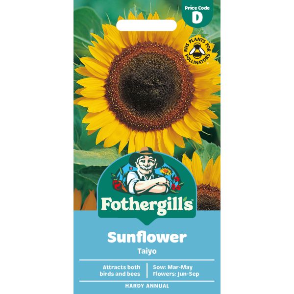 Sunflower Taiyo Seeds