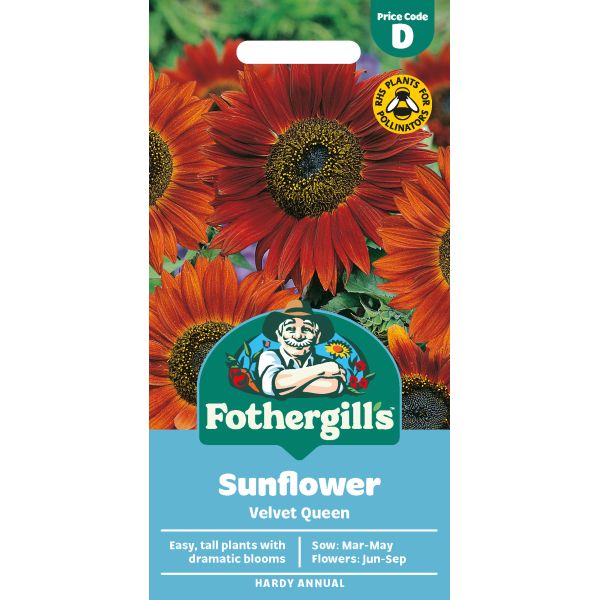 Sunflower Velvet Queen Seeds