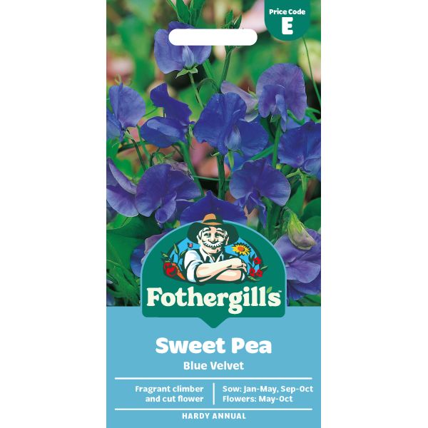 Sweet Pea Blue Velvet Seeds