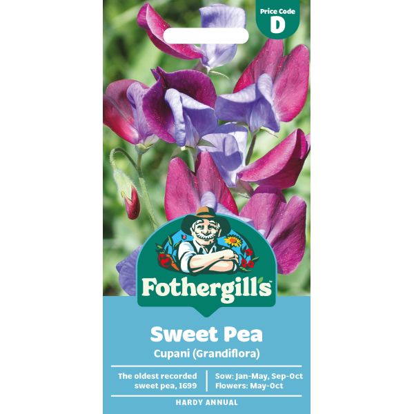 Sweet Pea Cupani Seeds